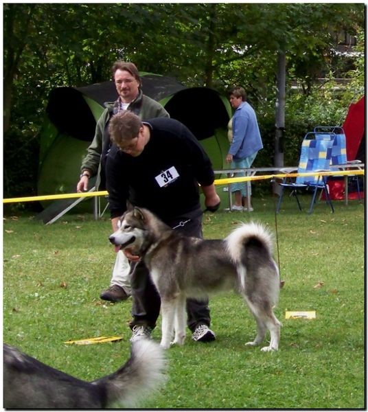 Sunny Koenigswinter.jpg